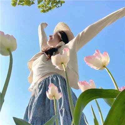 神偷燕子李三海报