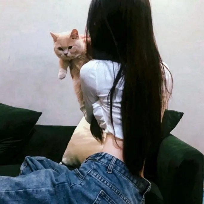 我亲爱的伊莱克特拉海报
